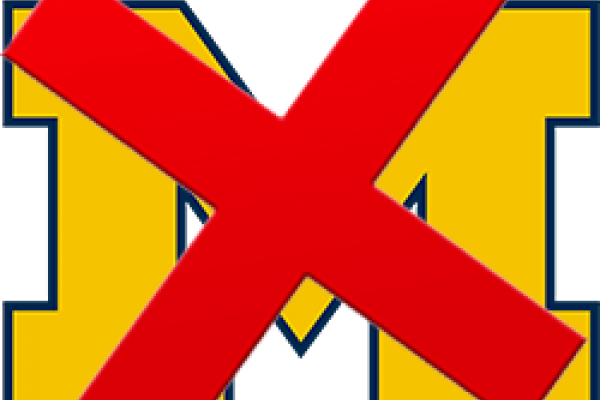 MIchigan Logo with X