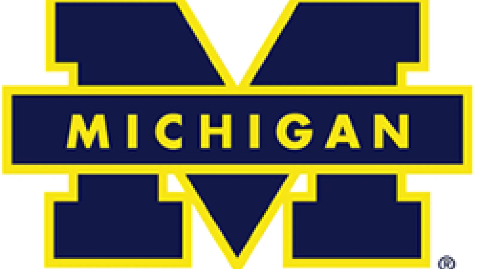 Michigan Football