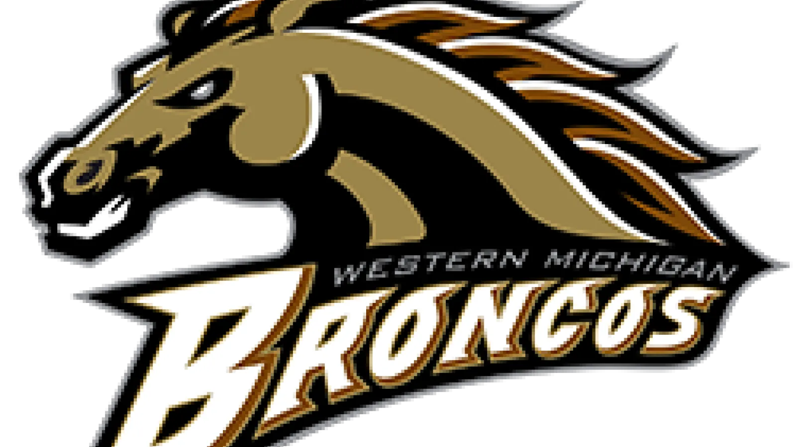 Western Michigan